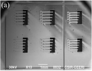Released_array_of_piezoelectric_micro-cantilevers_with_grid_lines